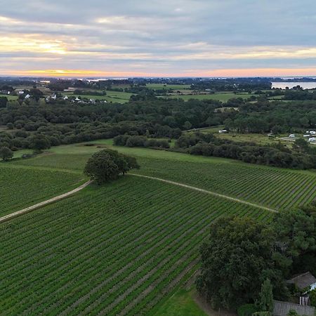 Gite -L'Appart- Au Vignoble Domaine Lamballe, Baden, Golfe Du Morbihan Zewnętrze zdjęcie