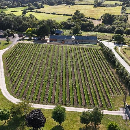 Gite -L'Appart- Au Vignoble Domaine Lamballe, Baden, Golfe Du Morbihan Zewnętrze zdjęcie