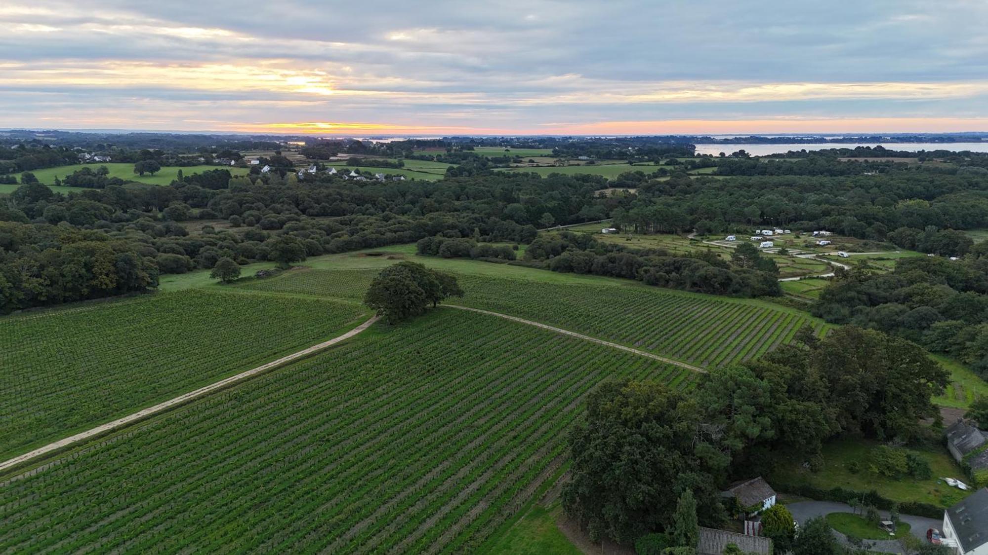 Gite -L'Appart- Au Vignoble Domaine Lamballe, Baden, Golfe Du Morbihan Zewnętrze zdjęcie