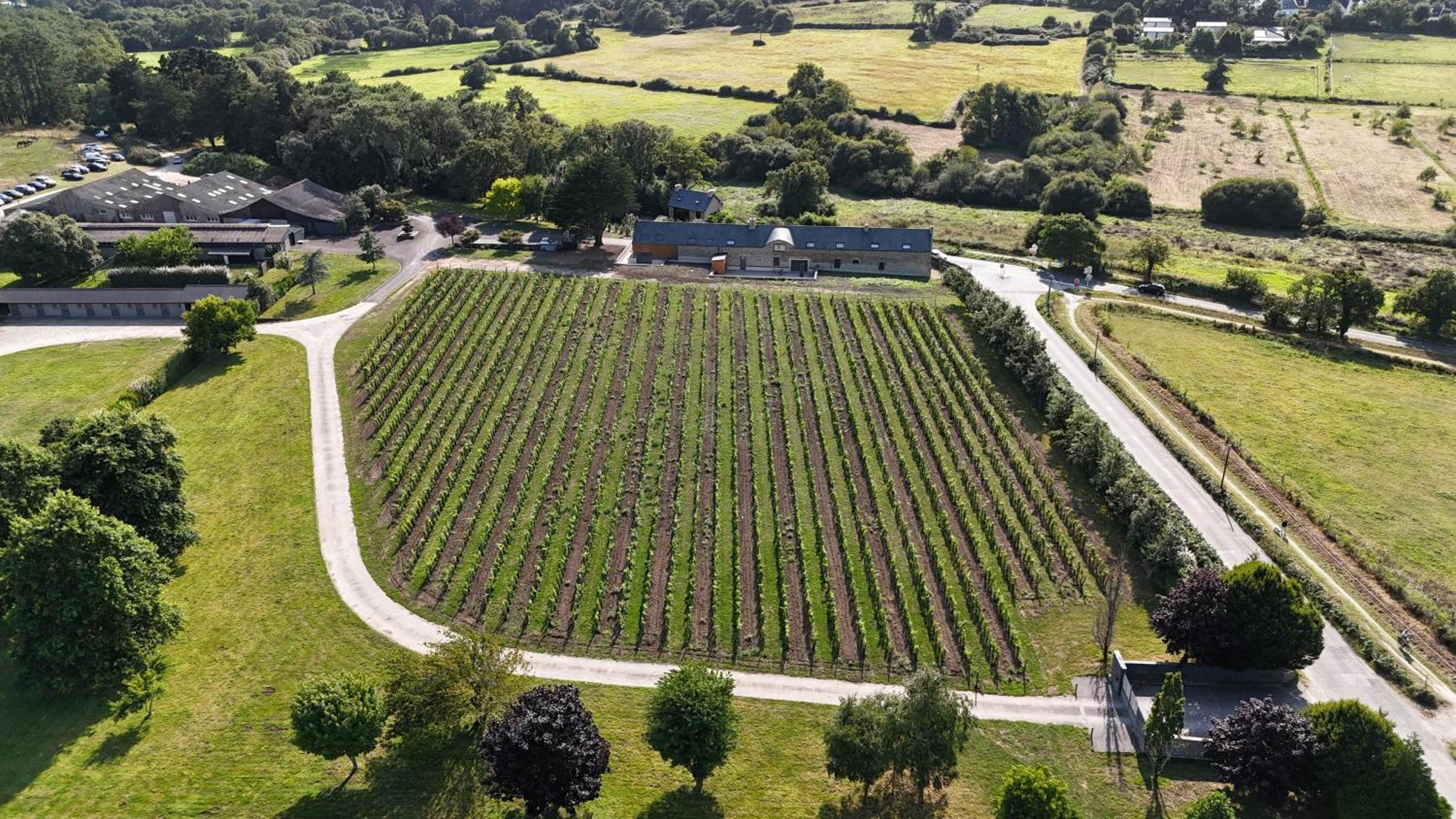Gite -L'Appart- Au Vignoble Domaine Lamballe, Baden, Golfe Du Morbihan Zewnętrze zdjęcie